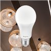 BRY-ADVANCE-16W-E27-A65-6500K-LED BULB