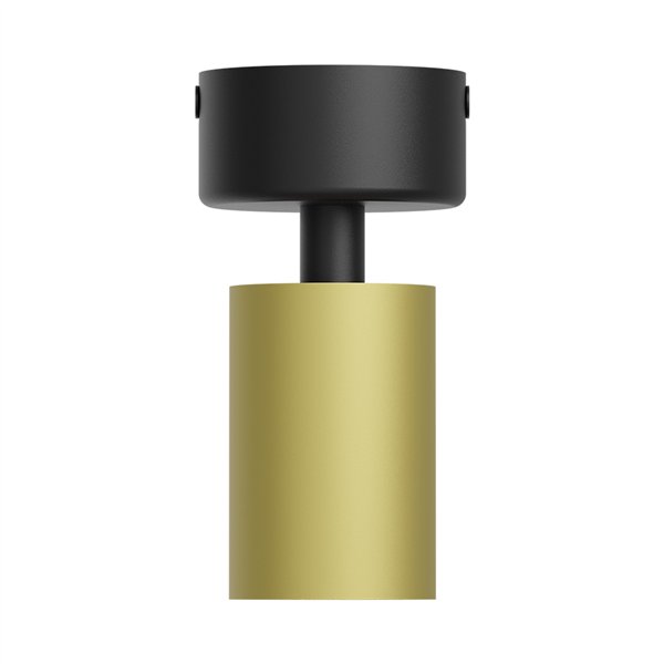 BRY-BETA-SRD_1-GLD-GU10-SPOTLIGHT