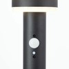 Solar lamp Brilliant Black 3 W