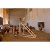 Staircase Kerbl Chicken