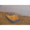 Bird House Kerbl Plastic