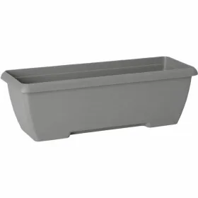 Pušķi Garden ID Teramo Pelēks 60 cm