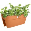 Pušķi Elho Vibia Campana Flower Bridge 60 Brūns 26 x 59 x 22 cm