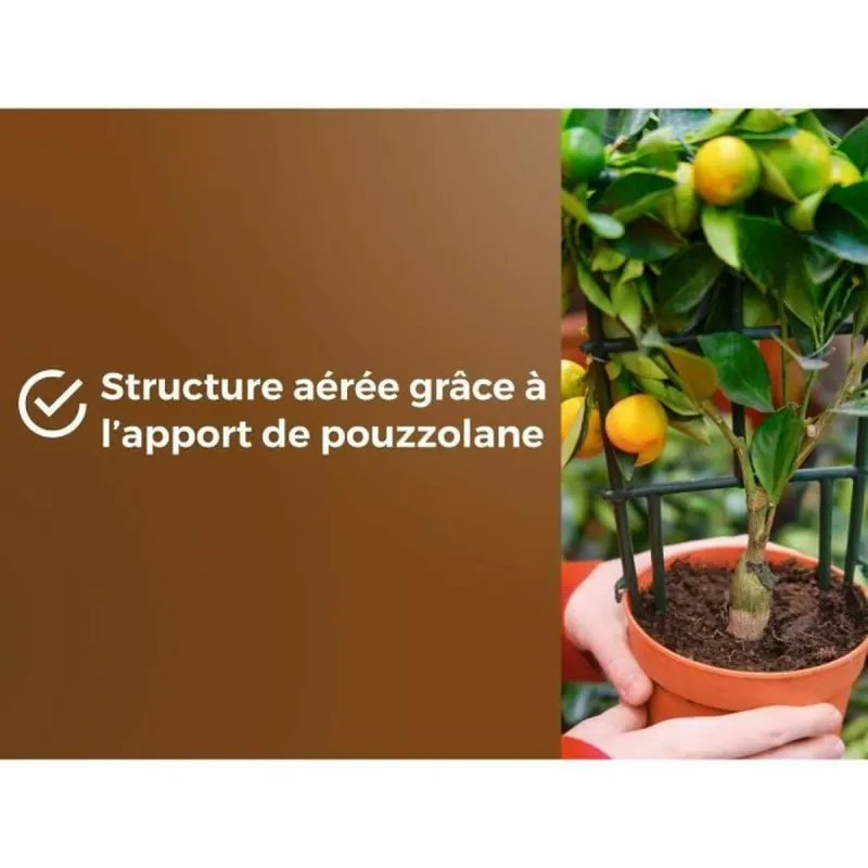 Podiņu komposts OR BRUN 6 L Citruss