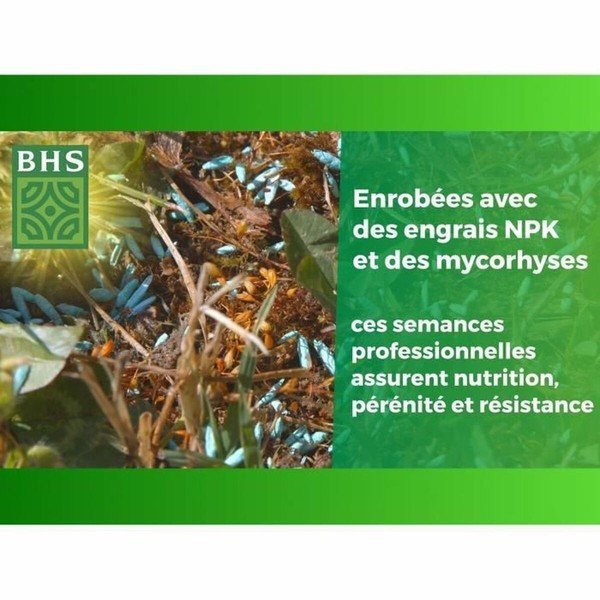 Seeds BHS Gazon Anglais 10 kg