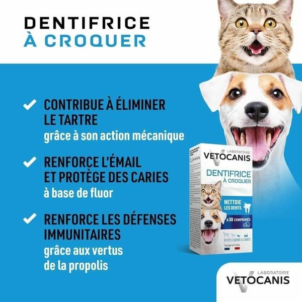 Dantų pasta Vetocanis Katė