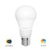 BRY-PREMIUM-13,5W-E27-A65-5IN1-LED BULB