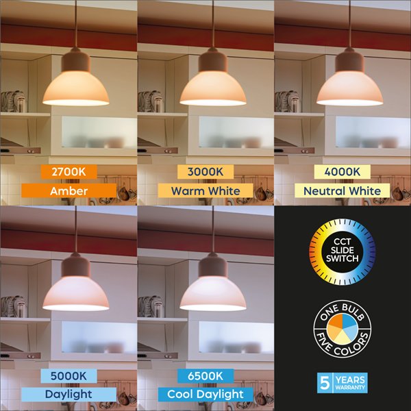 BRY-PREMIUM-13,5W-E27-A65-5IN1-LED BULB