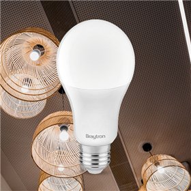 BRY-ADVANCE-16W-E27-A65-6500K-LED BULB