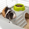 Cage Ferplast Metal/Plastic