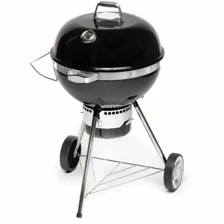 Nešiojamasis Barbekiu Fieldmann FZG 1017 Metalinis Plienas