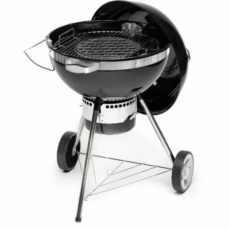 Nešiojamasis Barbekiu Fieldmann FZG 1017 Metalinis Plienas