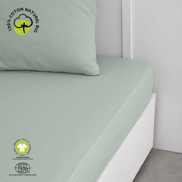 Fitted bottom sheet TODAY Green 160 x 200 cm