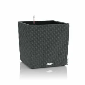 Plant pot Lechuza Black Grey polypropylene