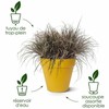 Set of pots Elho Grey Plastic Circular 2 Pieces