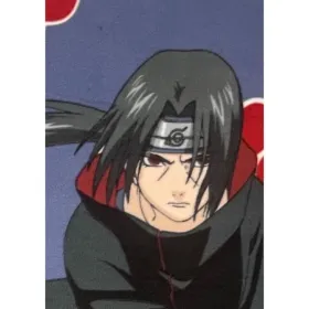 Antklodė Naruto Juoda gyvūnai