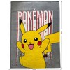 Antklodė Pokémon Geltona gyvūnai