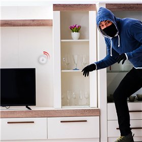 Alpina - Smart PIR motion sensor Zigbee network