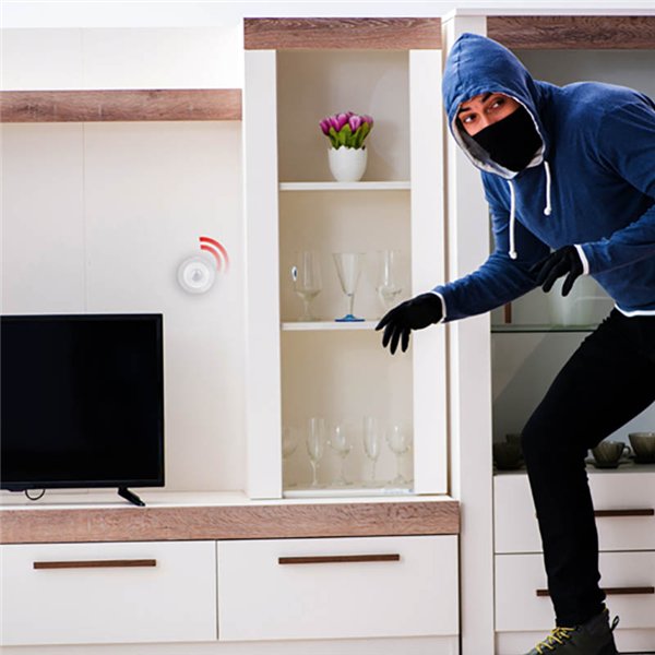 Alpina - Smart PIR motion sensor Zigbee network