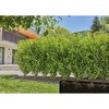 Pilienveida apūdeņošanas sistēma Gardena 13501-20