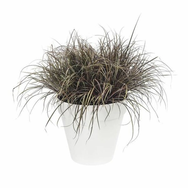 Stiklainis Elho Loft Urban Apskritas Balta Ø 40 cm