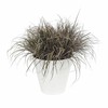 Банка Elho Loft Urban Круглая Белый Ø 40 cm