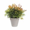 Stiklainis Elho Loft Urban Pilka Apskritas Ø 50 cm