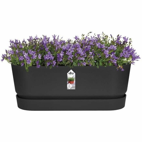Sodinukas Elho   Juoda 50 cm Plastmasinis ovalus