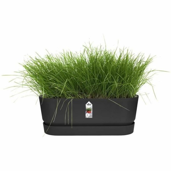 Sodinukas Elho   Juoda 50 cm Plastmasinis ovalus
