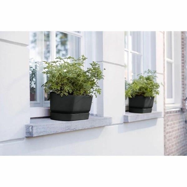 Sodinukas Elho   Juoda 50 cm Plastmasinis ovalus