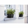 Наружный ящик для растений Elho   Чёрный 50 cm Пластик овальная