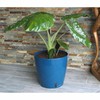 Банка Riss RIV3580796331061 Ø 30 cm