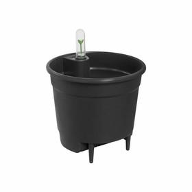 Pušķi Elho Ø 33 cm Melns Plastmasa