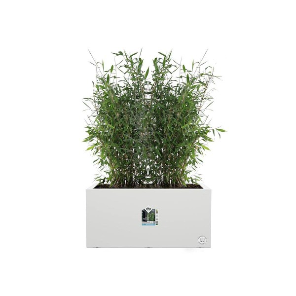 Банка Elho 59 x 30 x 29 cm Белый Пластик Прямоугольный современный