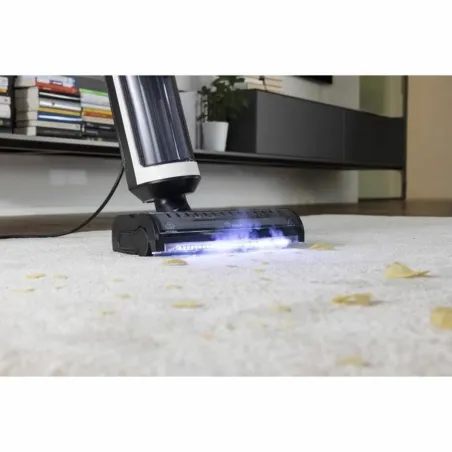 Vaporeta Steam Cleaner POLTI RollySteam WD10