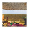 Garden Fence EDM 75817 Brown Bamboo 1,5 x 5 m