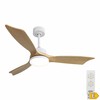 Kattotuuletin valolla EDM 33819 Báltico 20 W 2190 Lm