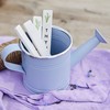Декоративная лейка Decoris Ассорти цветов цинк