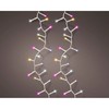 Wreath of LED Lights Lumineo