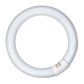 Fluorescent pipe Patron 20 W G10Q (6400 K)