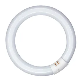 Fluorescent pipe Patron 40 W G10Q White (6500 K)