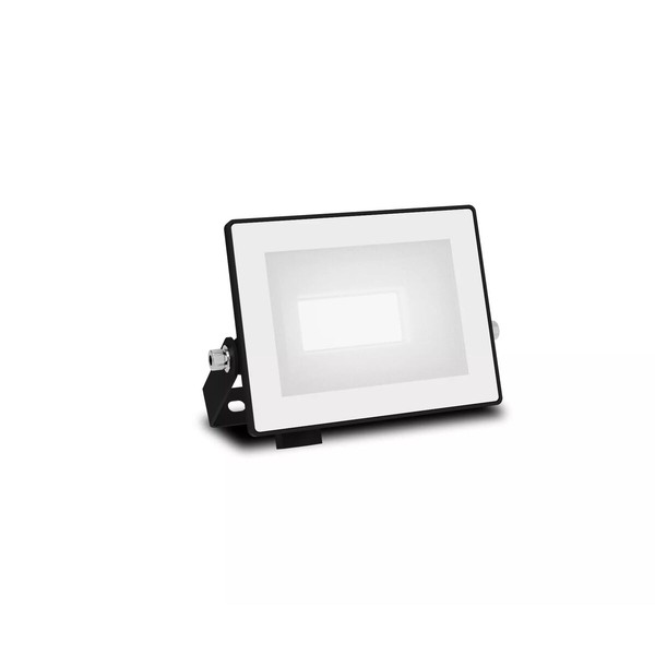 Floodlight/Projector Light Philips Black 10 W 950 Lm F
