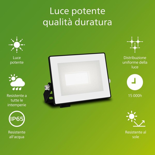 Užtvindanti šviesa / projektoriaus šviesa Philips Juoda 10 W 950 Lm F