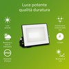 Valonheitin/projektorivalo Philips Musta 10 W 950 Lm F