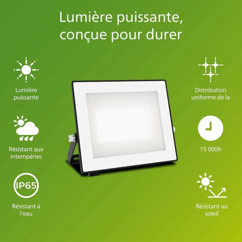 Floodlight/Projector Light Philips Black 30 W F (5000 K)