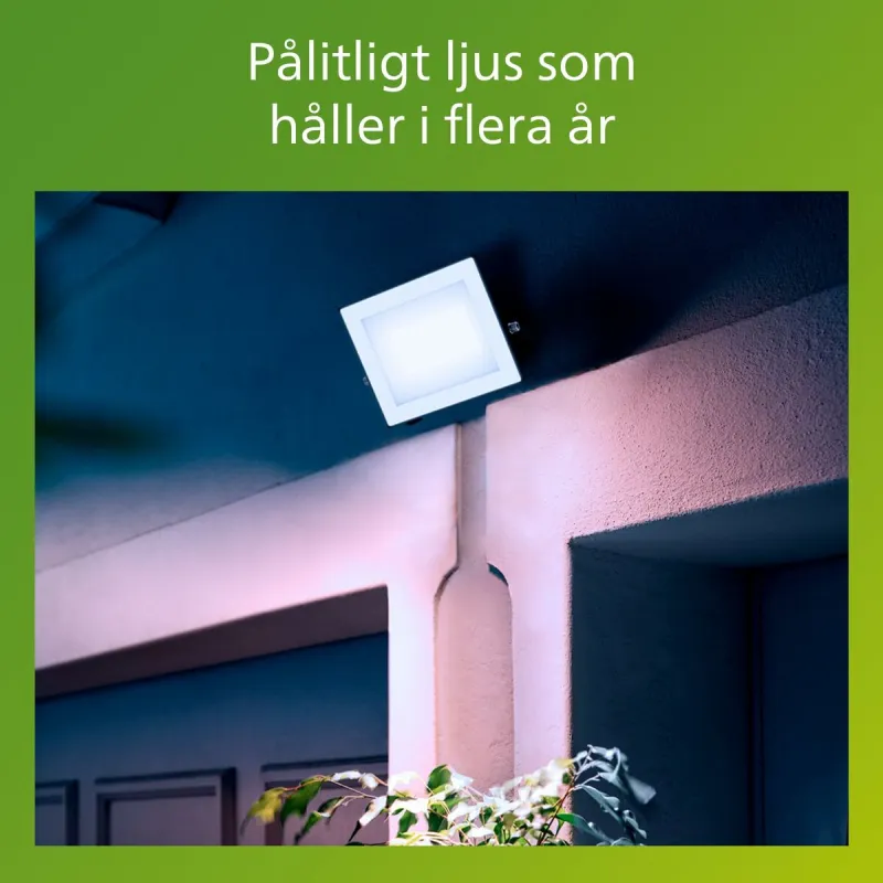 Valonheitin/projektorivalo Philips Musta 30 W F (5000 K)