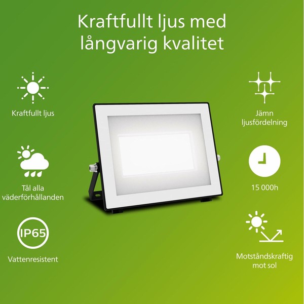 Floodlight/Projector Light Philips Black 50 W F