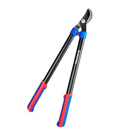 Divroku zāģi Workpro