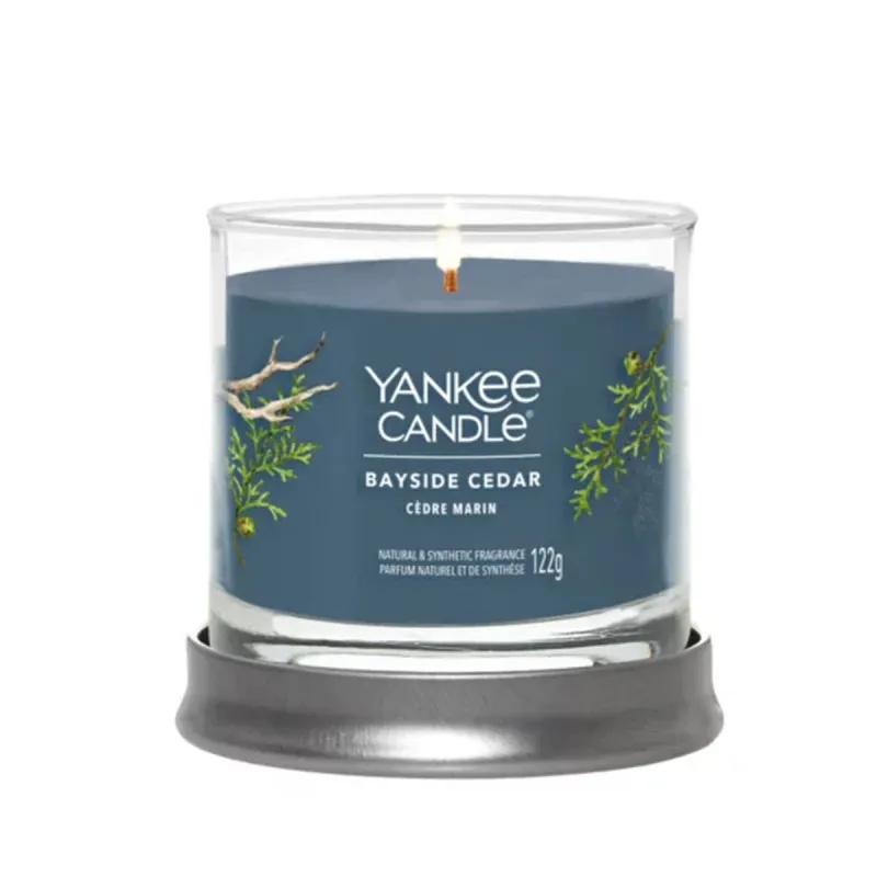 Aromātiska svece Yankee Candle Bayside Cedar 122 ml