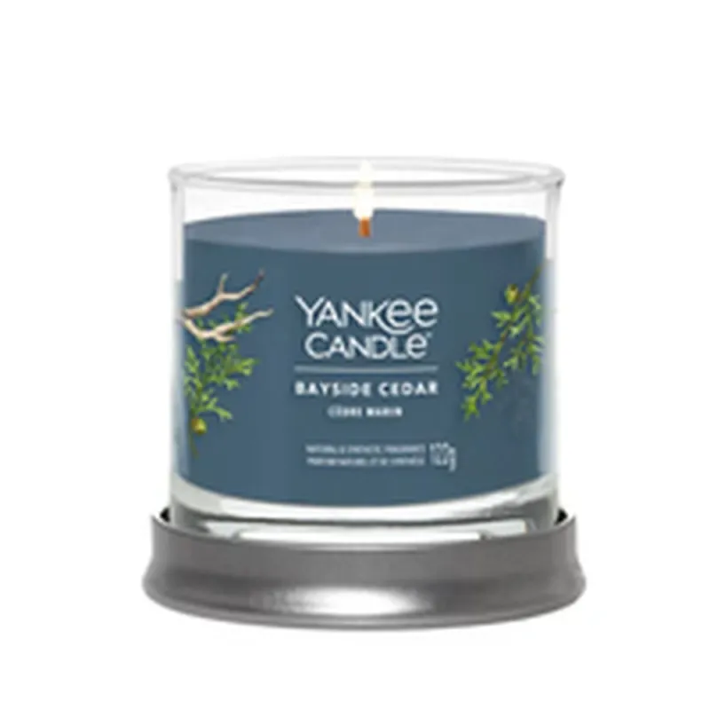 Aromātiska svece Yankee Candle Bayside Cedar 122 ml